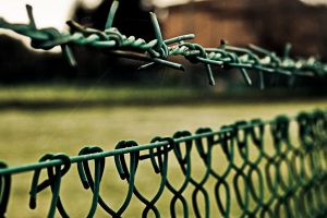 barbed wire wallpaper