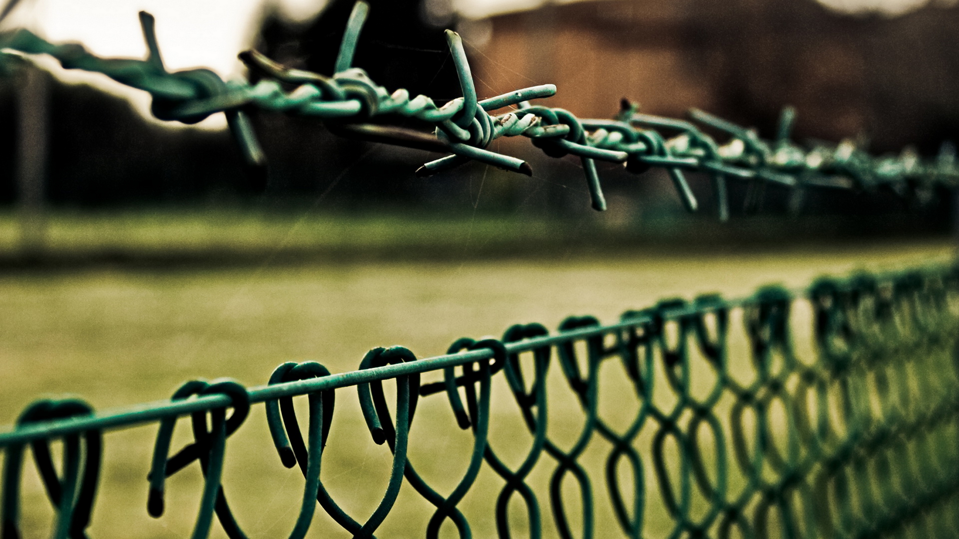 barbed wire wallpaper