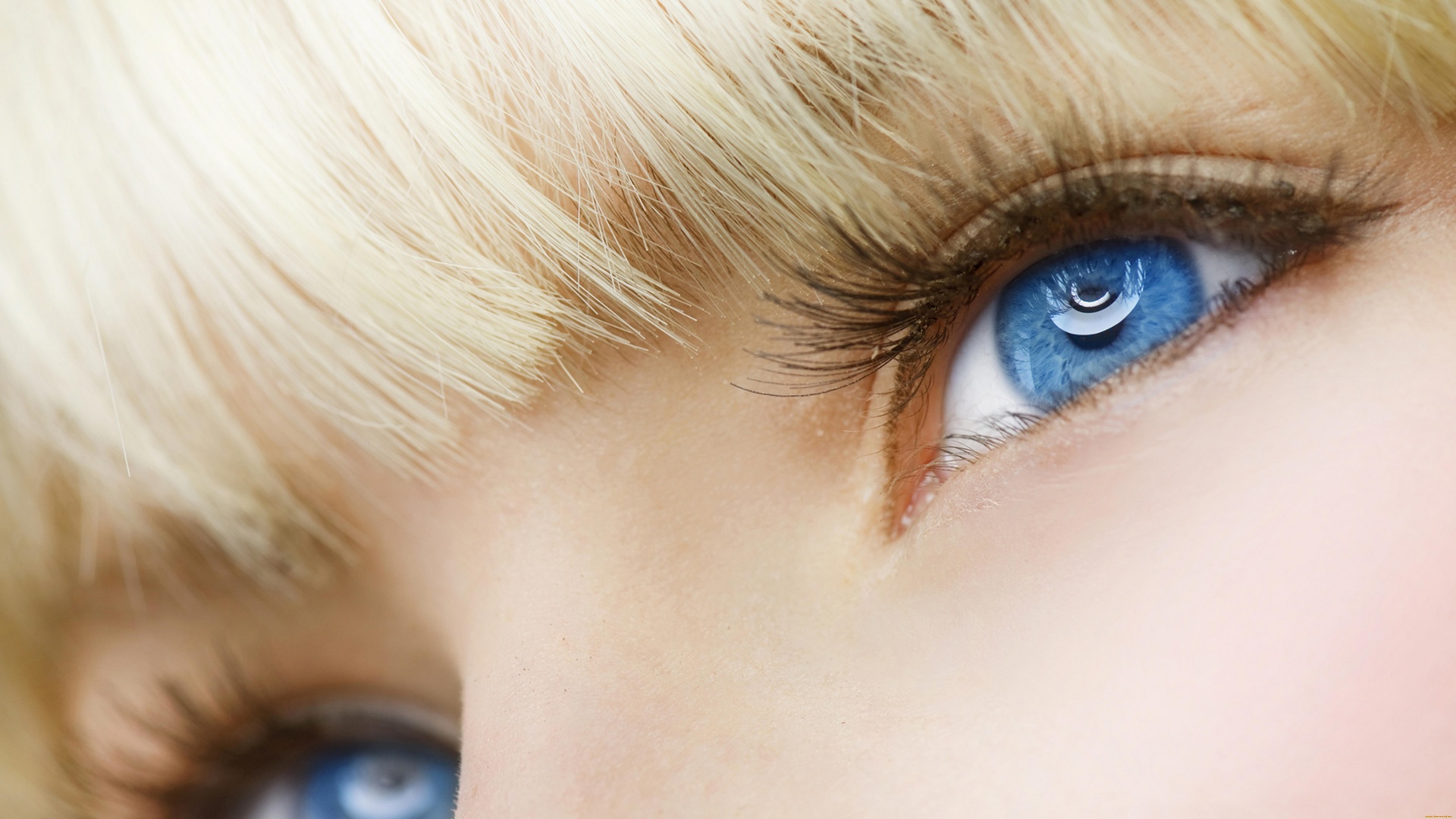 blue eyes wallpaper background