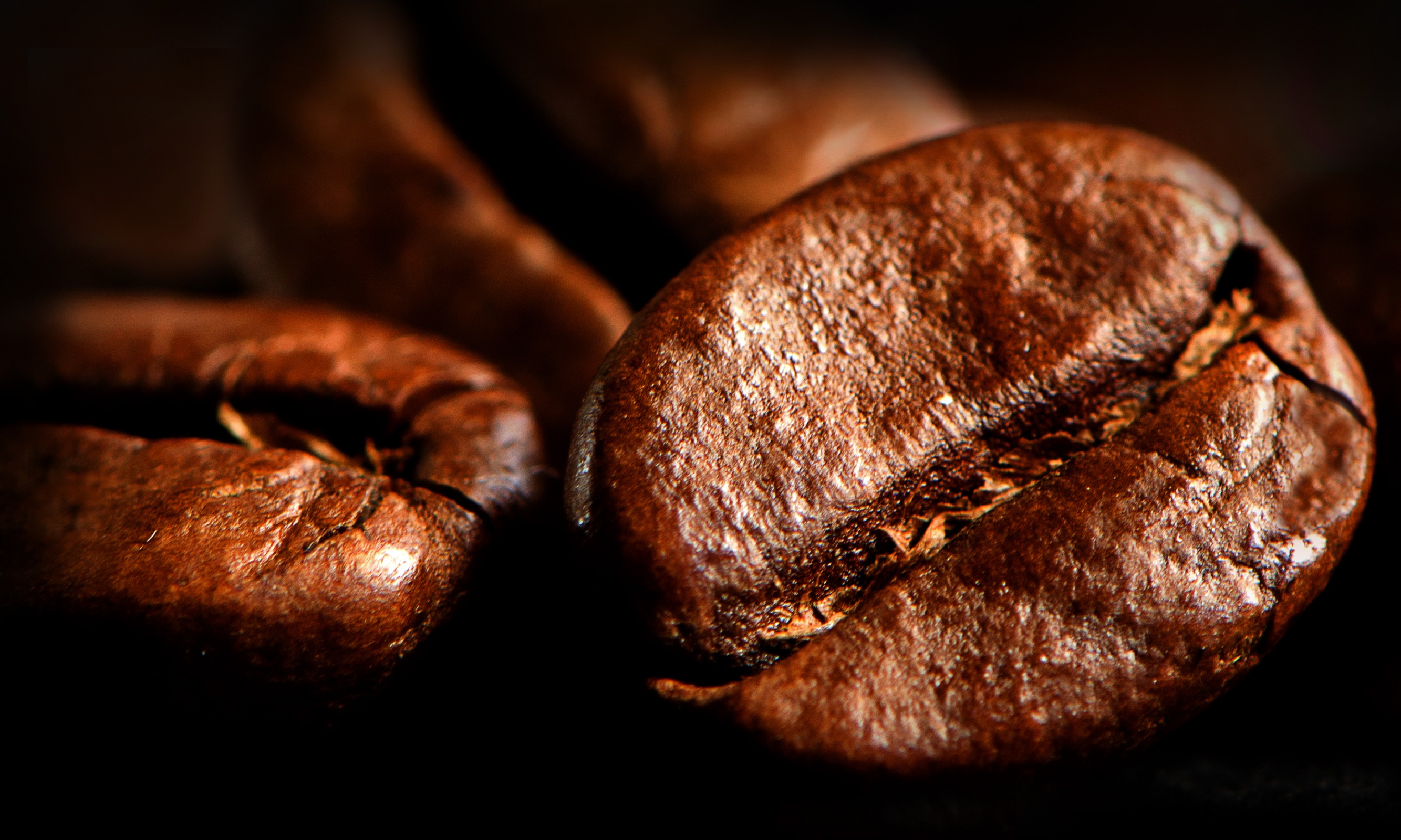 coffee bean close up wallpaper background