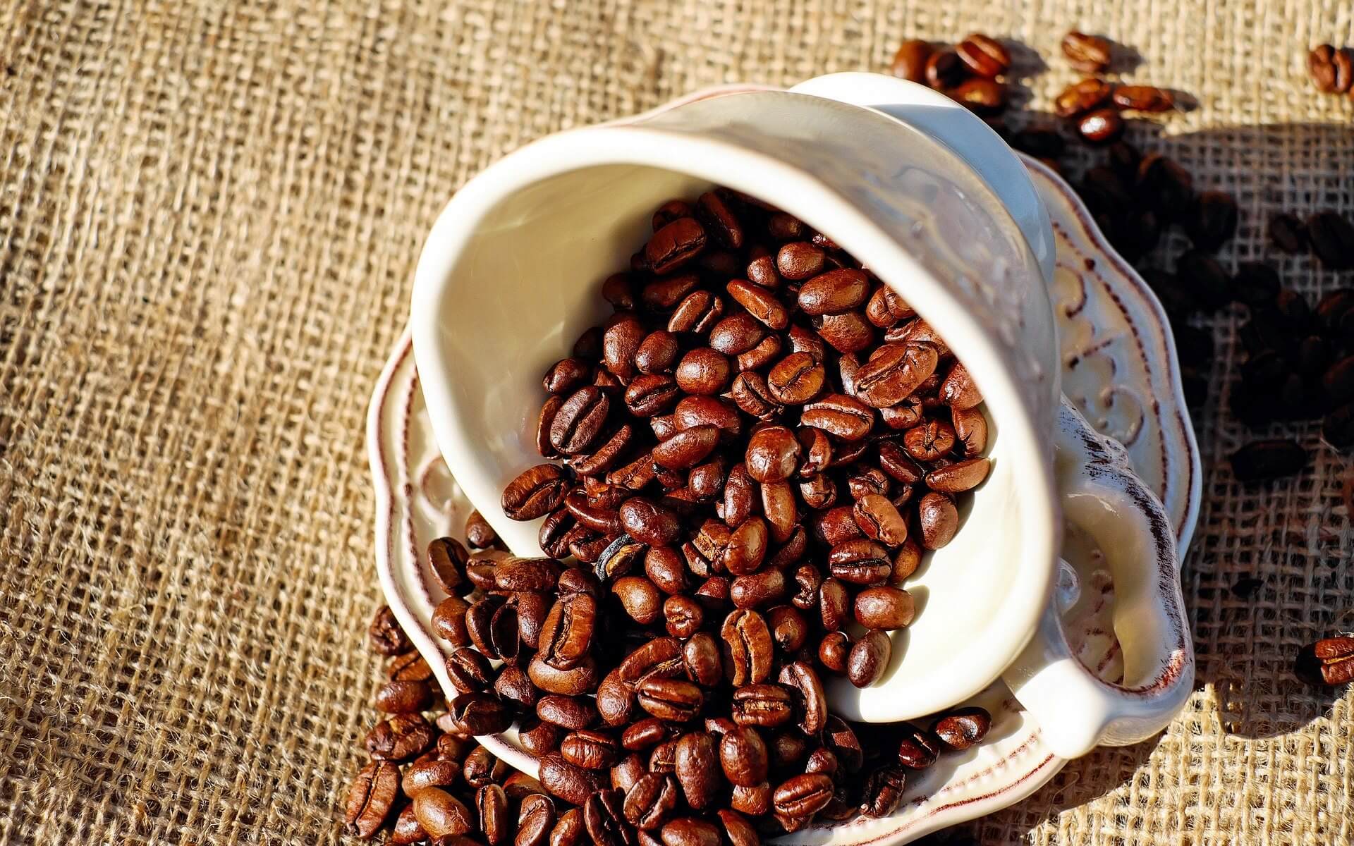 coffee beans in cup wallpaper background