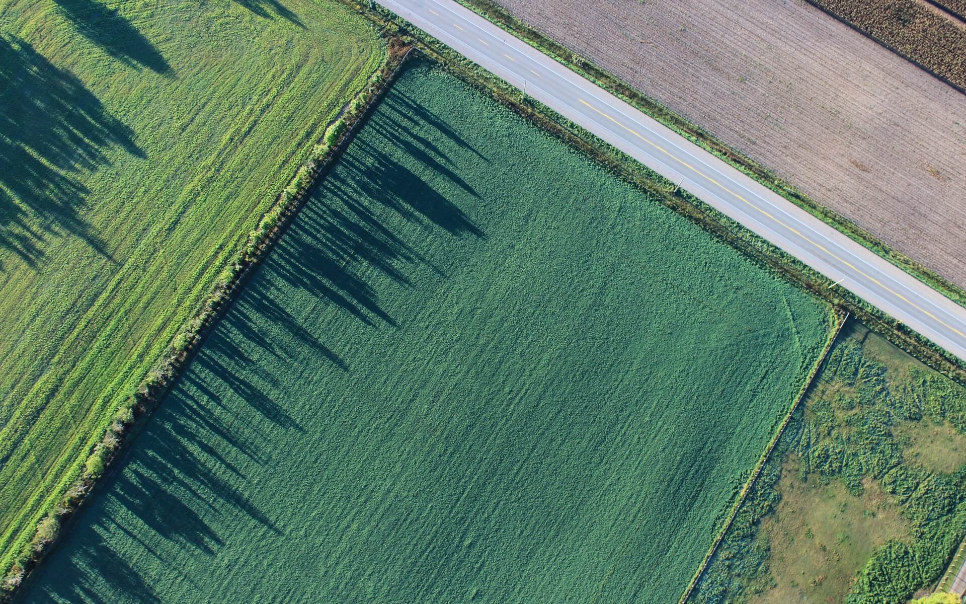 green field aerial view wallpaper background