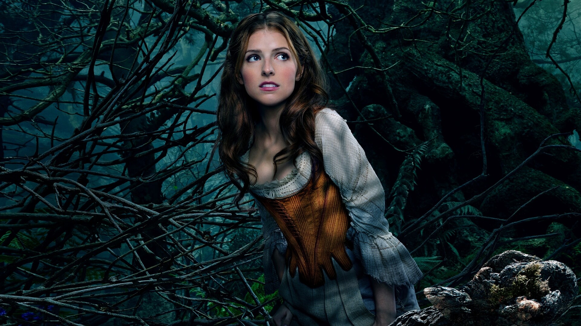 into the woods anna kendrick wallpaper background