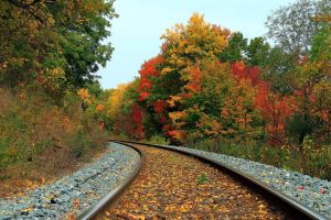 leaves on rail track wallpaper background