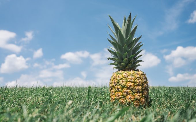 pineapple in grass wallpaper background