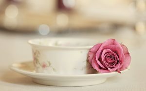 Rose With Tea Cup Wallpaper Background