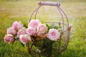 roses in basket wallpaper
