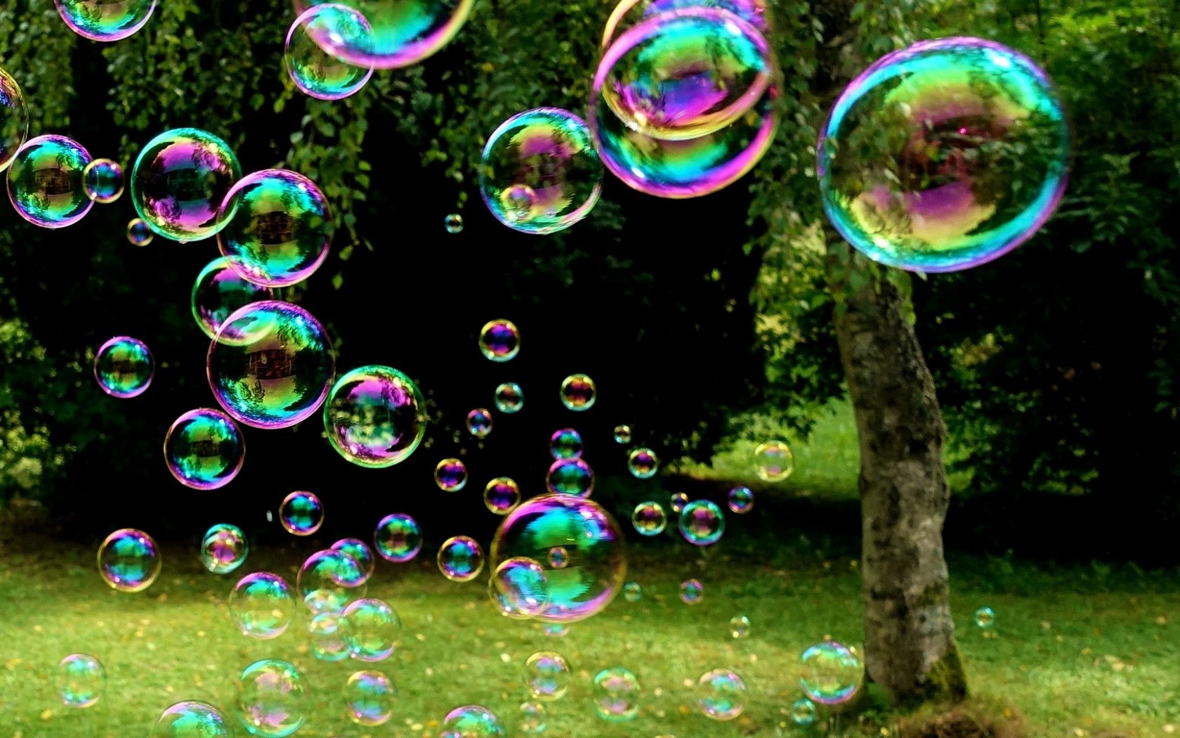 Bubbles | The Village Granny