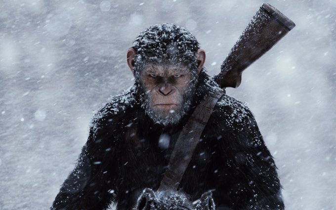 war for the planet of the apes wallpaper background